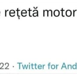 Imagine Galerie #2