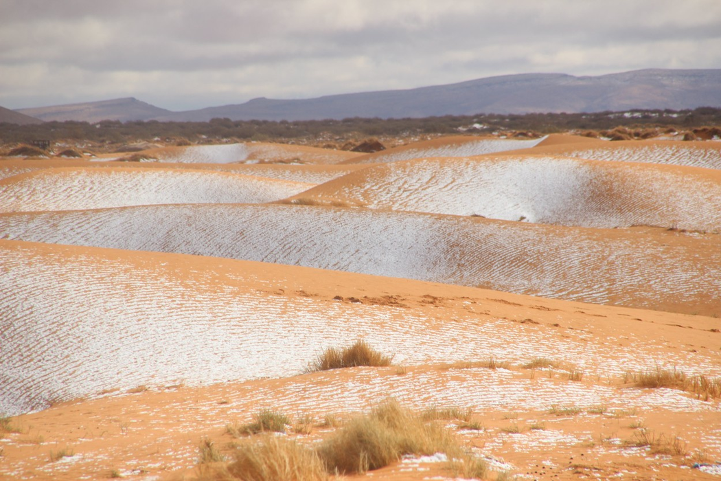 Picture dated January 6th shows a covering of snow in the Sahara Desert near Mekalis in northwestern Algeria.SNOW has fallen in the SAHARA Desert after temperatures dropped below freezing.A photographer took incredible pictures of rare SNOW and ICE in the small Saharan desert town of Mekalis in northwestern Algeria yesterday (Thurs).The ice created patterns in the sand after the area saw a sprinkling of snow fall unexpectedly yesterday.The dusting of snow is the fifth time in 42 years that the town has snow, with previous occurrences in 1979, 2016, 2018 and 2021.
Snow and ice Saharan desert, Algeria - 07 Jan 2022,Image: 651687879, License: Rights-managed, Restrictions: , Model Release: no, Credit line: Profimedia