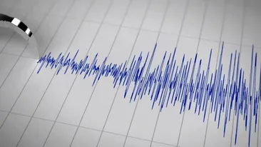 Cutremur cu magnitudinea de 4.9, în judeţul Buzău!