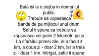 BANC | Bulă își ia o slujbă în domeniul public. Trebuie să vopsească banda de pe mijlocul unui drum