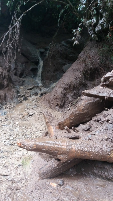 20 de turiști blocați pe Valea Cernatului, după ce drumul a fost rupt de aluviuni. Imagini apocaliptice