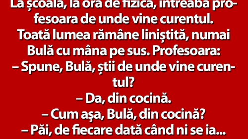 BANC | La școală, la ora de fizică, întreabă profesoara de unde vine curentul. "Din cocină", răspunde Bulă