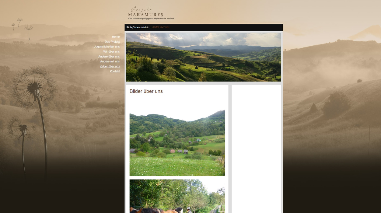 Site-ul oficial al "Projekt Maramureș", închis între timp
