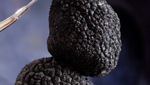 Top 5 cele mai scumpe alimente din lume. Sunt delicatese de lux pentru buzunarul românilor