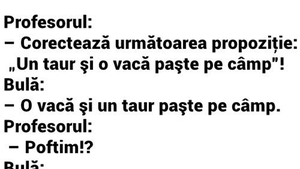 BANC | Profesorul: "Bulă, corectează următoarea propoziție: Un taur și o vacă paște pe câmp"