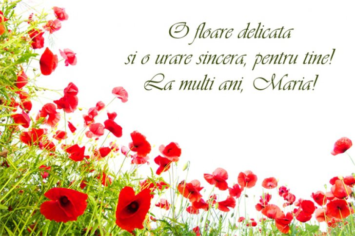 Felicitări de Sfânta Maria. 1.398.464 de femei poartă numele de Maria