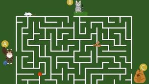 Test de inteligență pentru genii | Doar 1% poate ghici în 11 secunde ce pisică va ajunge prima la bolul cu mâncare