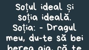 Bancul începutului de săptămână | Soțul ideal și soția ideală