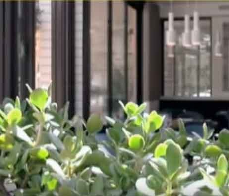 Restaurantul Avenue, localul unde au fost filați milionarii României