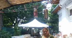 Galerie foto - poza 4