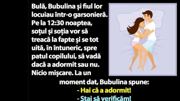 BANC | Bulă și Bubulina vor să treacă la fapte