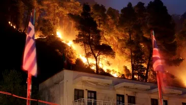 O mireasă și-a pierdut mirele în infernul flăcărilor din Grecia!
