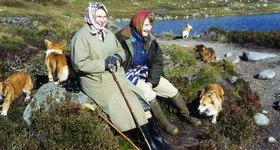 Galerie foto - poza 4