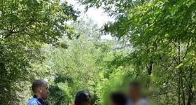 Galerie foto - poza 2