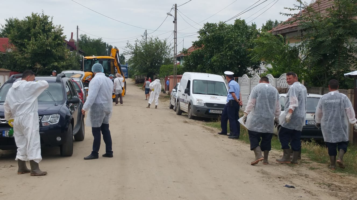 Desfășurare impresionantă de forțe la Teasc, în Dolj, pentru uciderea porcilor
