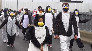 Aeroportul inaugurat în pandemie, după nouă ani de întârziere, a produs revoltă la Berlin. Activiștii au protestat costumați în pinguini