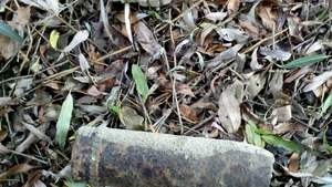 Un ”căutător de comori” din Vrancea a găsit două grenade defensive și 80 de cartușe