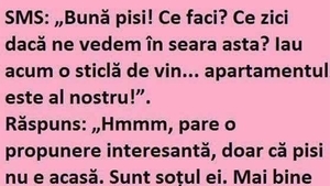 BANCUL ZILEI | SMS: "Bună pisi. Ce zici, ne vedem în seara asta?"