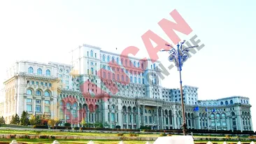 Palate la preturi de nimic