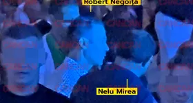 Galerie foto - poza 3