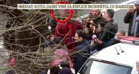 Galerie foto - poza 3