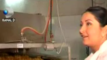 Gabriela Cristea a facut paine pentru locuitorii orasului Valenii de Munte: Mi-a placut teribil