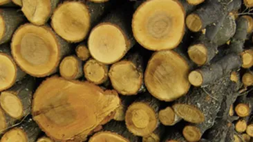 Politistii au strans 80.000 de lei si au cumparat lemne pe care le vor duce locuitorilor din judetele izolate