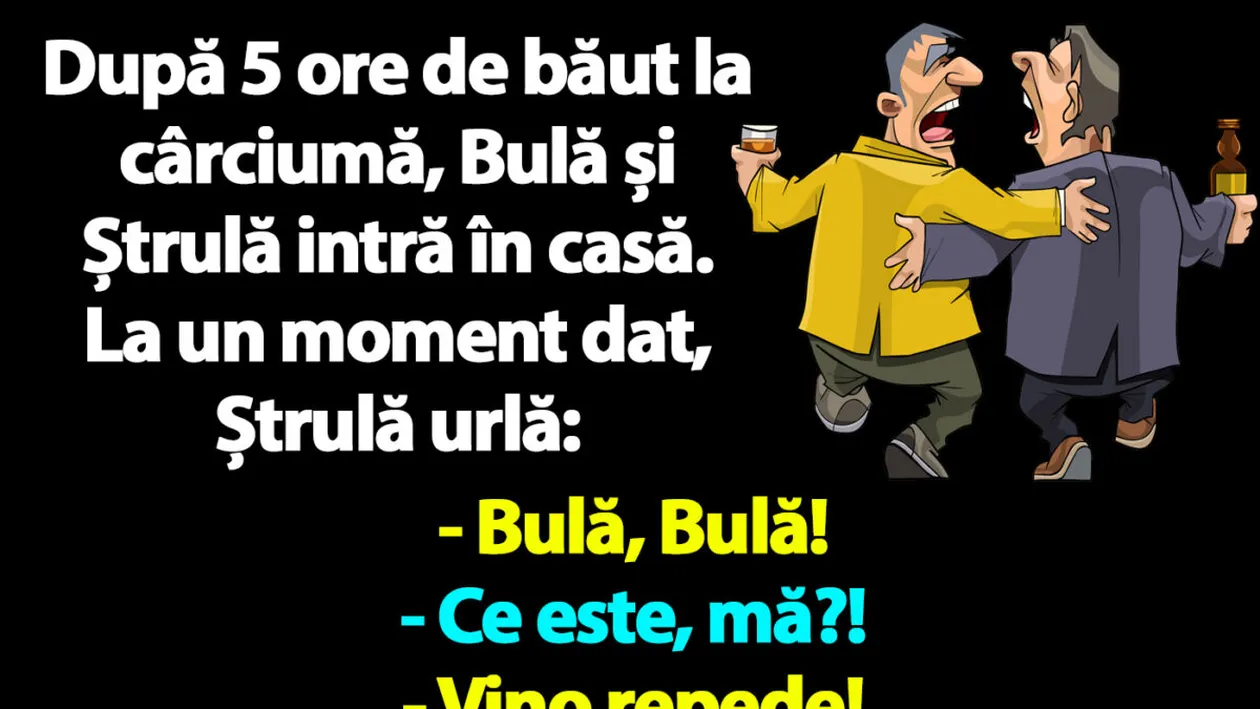 BANC | După 5 ore de băut, Bulă și Ștrulă intră în casă