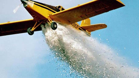 Braşovenii sunt panicaţi după ce s-au trezit că se întâmplă asta! Tone de peşte congelat au fost aruncate din avion