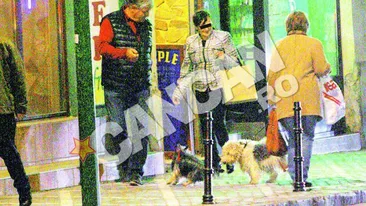 Falcosul s-a bagat intr-o incaierare canina! Andone si-a salvat latosul de coltii unui dulau