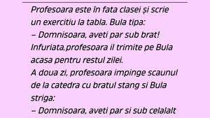 BANC | Bulă și profesoara neîngrijită