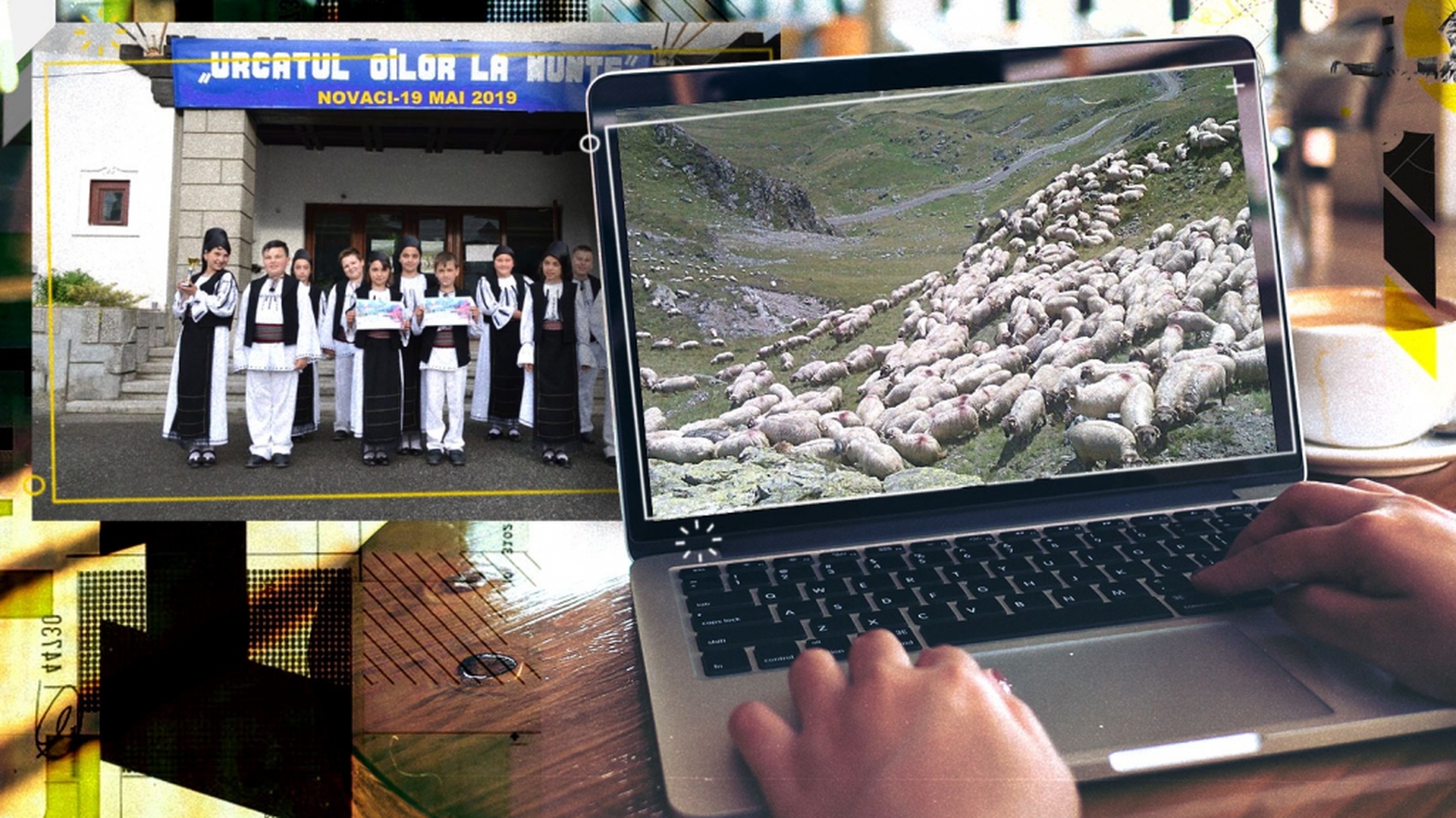 "Urcatul oilor la munte" se va face online. "Trebuie să fim consecvenți și să..."