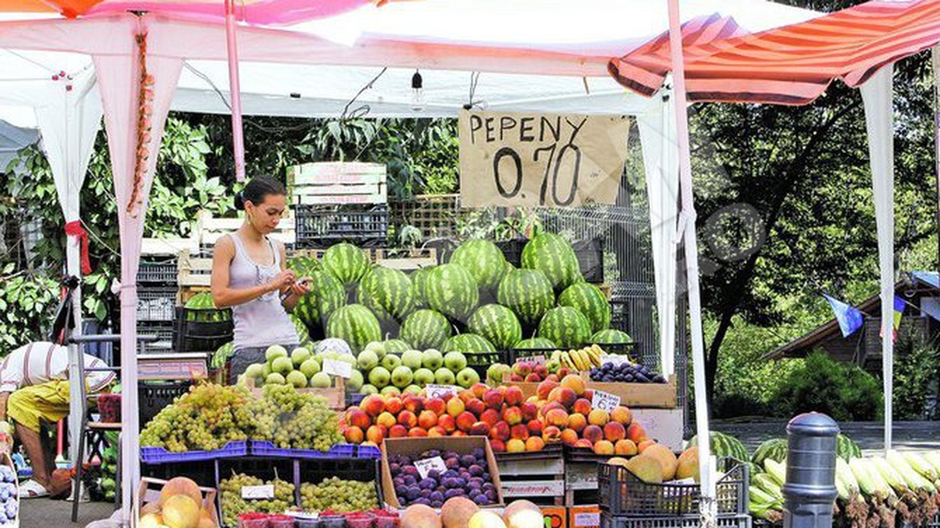 Canicula a dus la mutatii genetice? Fructe exotice "made in Dabuleni"