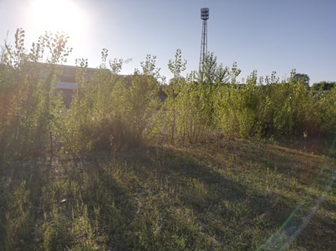Uluitor cum arată celebrul stadion unde Mirel Rădoi a fost amenințat cu moartea: ”Fugiți…”