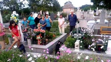 Câine îngropat de viu într-un mormânt dintr-un cimitir din Timiș. Groparii ar fi pus cu bună știință peste el placa de beton a unui cavou. Explicația e halucinantă