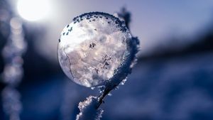 Prognoza meteo ANM de Revelion! Cum va fi vremea în perioada 28 decembrie-10 ianuarie, în toate regiunile