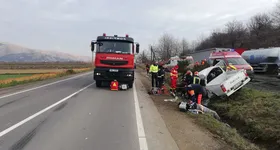 Galerie foto - poza 3