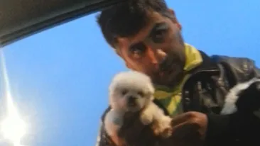 Trafic cu catei in fata unuia dintre cele mai de fite cluburi din Mamaia. Cat costa un exemplar de rasa vandut la coltul strazii