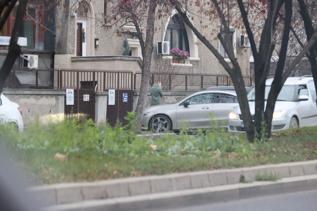 Primele imagini cu Irina Tănase după despărțirea de Liviu Dragnea