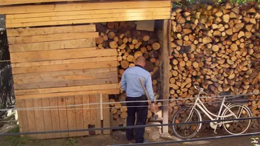 In slujba tarii si a gospodariei, cu toporul in mana! Vezi cum a fost fotografiat un politist!