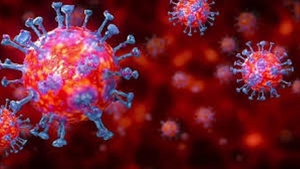 Coronavirus în America. După SUA, cel mai afectat stat din lume, Mexic pierde 350.000 de angajați în primele două săptămâni de carantină