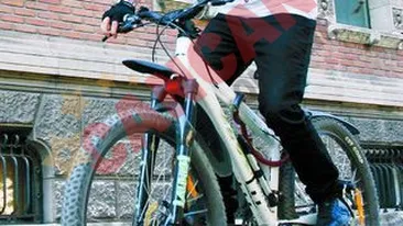 Hiena de la Animal X: Am multe iubite, pentru ca imi place sa imi traiesc viata