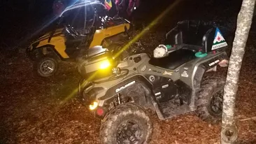 Întâlnire de gradul zero pe munte! Ursul le-a ieșit în cale. Cum au fugărit turiștii fiara VIDEO