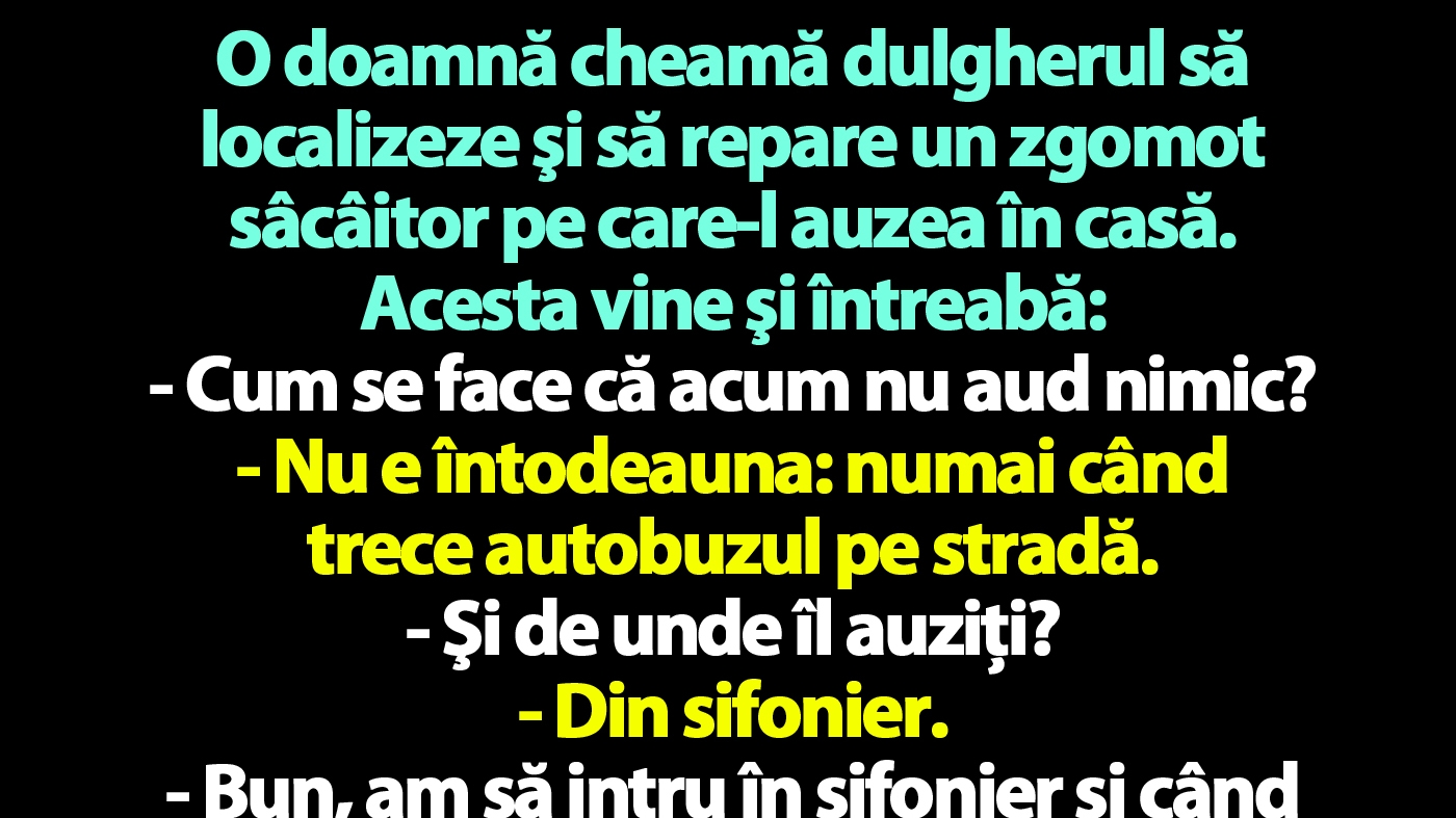 BANC | O doamnă cheamă dulgherul să localizeze şi să repare un zgomot sâcâitor pe care-l auzea în casă