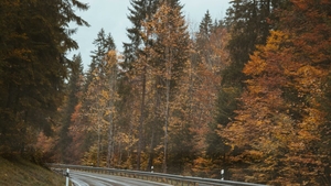 Prognoza meteo, azi, 27 ianuarie 2026. Ploi, nori și temperaturi moderate pentru final de ianuarie