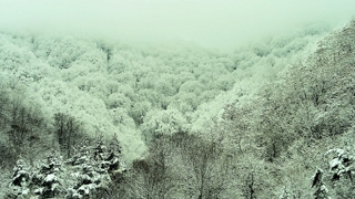 Circulatia pe Valea Oltului este inchisa din cauza pericolului de avalanse de pe versanti