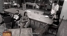 Galerie foto - poza 4