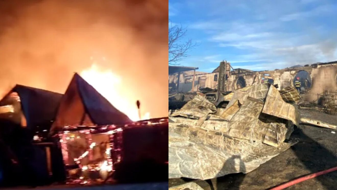 Cine era Vlad Băiceanu, unul din tinerii decedați la Ferma Dacilor? Tragedie fără margini de Crăciun