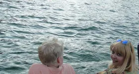 Galerie foto - poza 3