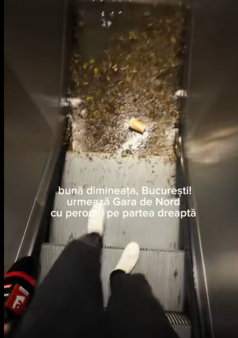 Urmările furtunii din București. Străzi blocate, copaci rupți și stații de metrou închise